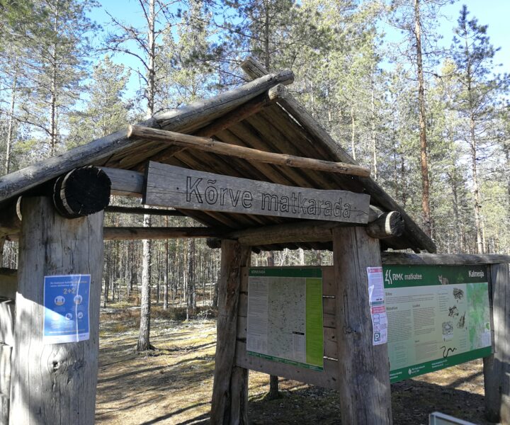 IMG_20200411_151941[1]